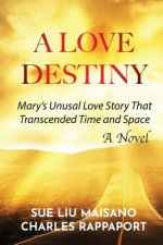 Love Destiny