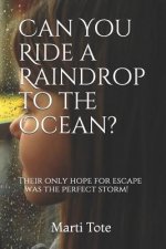 Can You Ride a Raindrop to the Ocean?: Their Only Hope for Escape Was the Perfect Storm!