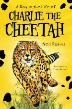 Day in the Life of Charlie the Cheetah