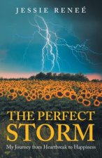 Perfect Storm