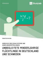 Unbegleitete minderjahrige Fluchtlinge in Deutschland und Schweden. Vergleich der Schulsysteme und Handlungsempfehlungen