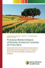 Processo Biotecnológico utilizando leveduras isoladas do fruto Baru