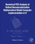 Numerical PDE Analysis of Retinal Neovascularization