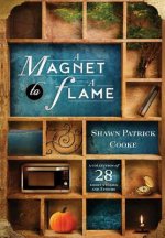 Magnet to a Flame