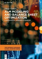 ALM Modeling and Balance Sheet Optimization
