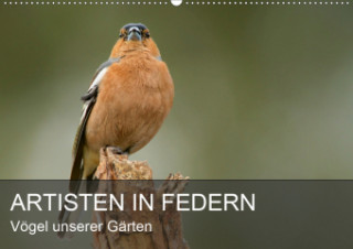 Artisten in Federn - Vögel unserer Gärten (Wandkalender 2020 DIN A2 quer)