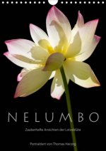 N E L U M B O - Zauberhafte Ansichten der Lotosblüte (Wandkalender 2020 DIN A4 hoch)