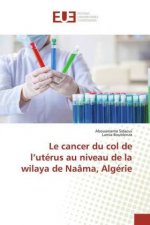 Le cancer du col de l?utérus au niveau de la wilaya de Naâma, Algérie