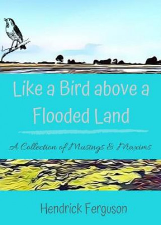 Like a Bird above a Flooded Land: A Collection of Musings & Maxims