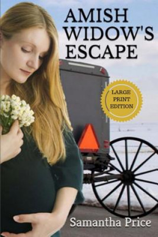 Amish Widow's Escape LARGE PRINT