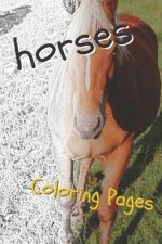 Horses Coloring Sheets: Beautiful Drawings for Adults Relaxation and for Kids