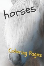 Horses Coloring Pages: Beautiful Drawings for Adults Relaxation and for Kids