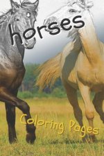 Horses Coloring Sheets: Beautiful Drawings for Adults Relaxation and for Kids
