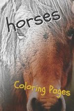Horses Coloring Pages: Beautiful Drawings for Adults Relaxation and for Kids