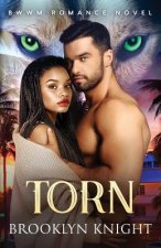Torn: A BWWM Romance