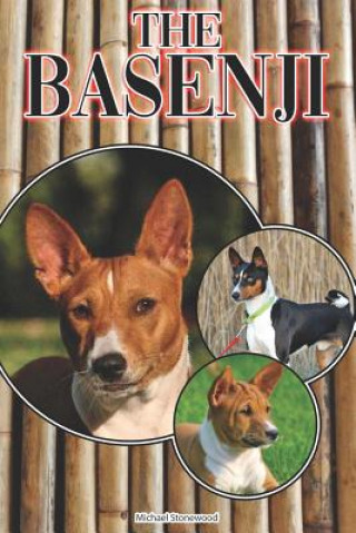 The Basenji: A Complete and Comprehensive Beginners Guide To: Buying, Owning, Health, Grooming, Training, Obedience, Understanding