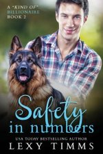 Safety in Numbers: Billionaire Steamy Suspense Romance