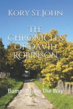 The Chronicles Of David Robinson: Bumps Along The Way