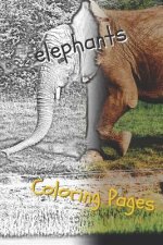 Elephant Coloring Pages: Beautiful Coloring Pages with Animal for Adults and for Kids