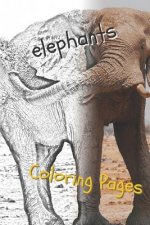 Elephant Coloring Pages: Beautiful Coloring Pages with Animal for Adults and for Kids