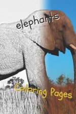 Elephant Coloring Pages: Beautiful Coloring Pages with Animal for Adults and for Kids