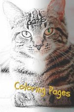 Cats: Beautiful Coloring Pages with Cats, Drawings, for Adults and for Girls