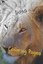 Lions Coloring Pages: Lions Beautiful Drawings for Adults Relaxation