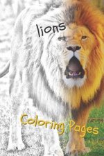 Lions Coloring Pages: Lions Beautiful Drawings for Adults Relaxation