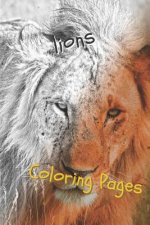 Lions Coloring Pages: Lions Beautiful Drawings for Adults Relaxation