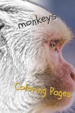 Monkeys Coloring Pages: Beautiful Coloring Pages for Adults Relaxation