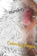Monkeys Coloring Pages: Beautiful Coloring Pages for Adults Relaxation