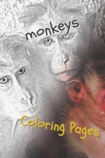 Monkeys Coloring Pages: Beautiful Coloring Pages for Adults Relaxation