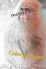 Monkeys Coloring Pages: Beautiful Coloring Pages for Adults Relaxation