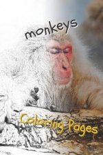 Monkeys Coloring Pages: Beautiful Coloring Pages for Adults Relaxation
