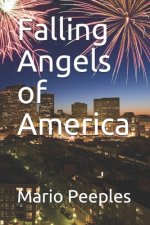 Falling Angels of America