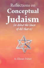 Reflections on Conceptual Judaism: About the Sense of All That Is