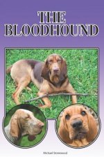 The Bloodhound: A Complete and Comprehensive Beginners Guide To: Buying, Owning, Health, Grooming, Training, Obedience, Understanding