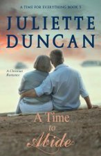 A Time to Abide: A Christian Romance