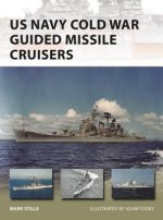 US Navy Cold War Guided Missile Cruisers