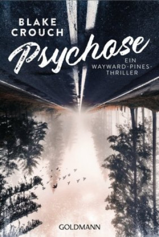 Psychose (Blake Crouch,Kerstin Fricke)(Miękka)