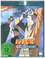 Naruto Shippuden - Nostalgische Tage + Sasuke Shinden + Shikamaru Hiden - Staffel 25: Episode 700-713