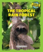The Tropical Rain Forest: Discover This Wet Biome