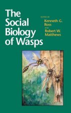 Social Biology of Wasps