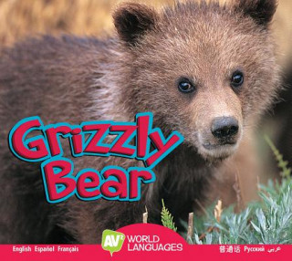 Grizzly Bear