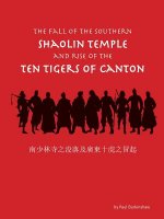 Fall of the Southern Shaolin Temple and Rise of the Ten Tigers of Canton