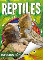 Reptiles