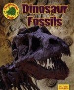 Dinosaur Fossils