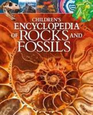 Children's Encyclopedia of Rocks and Fossils