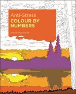 Anti-Stress Colour by Numbers