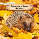 CONEC ELS ANIMALS DEL BOSC